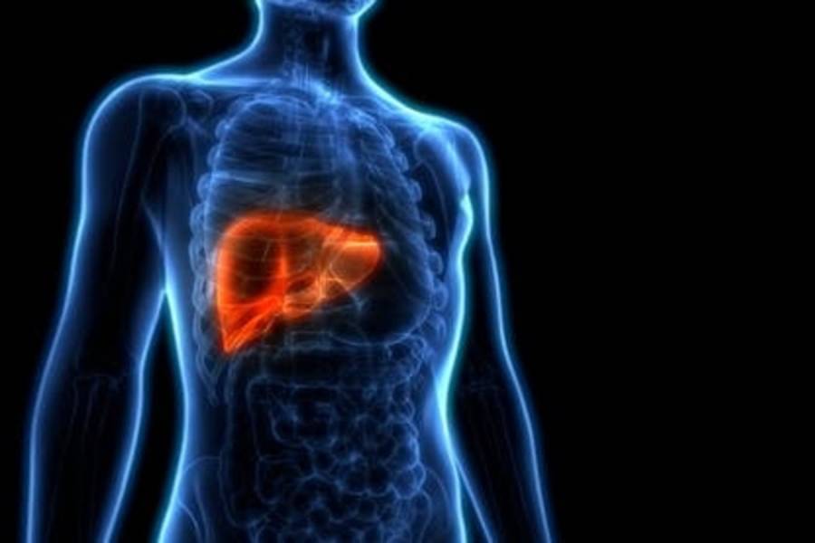 Liver Disease Treatment in Chennai