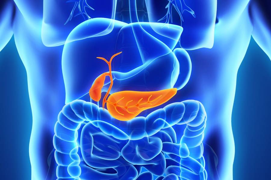 Pancreatic Cancer Surgeon in Chennai